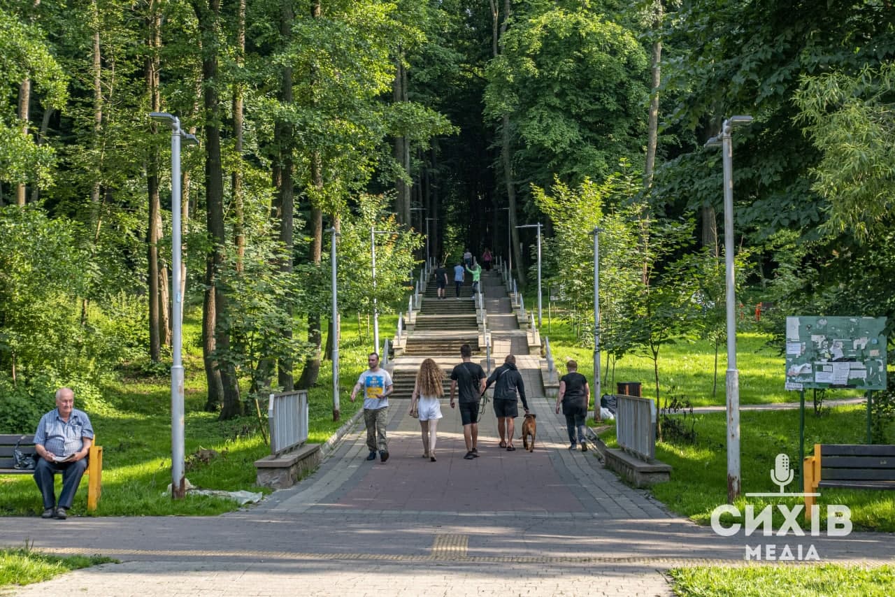 ліс