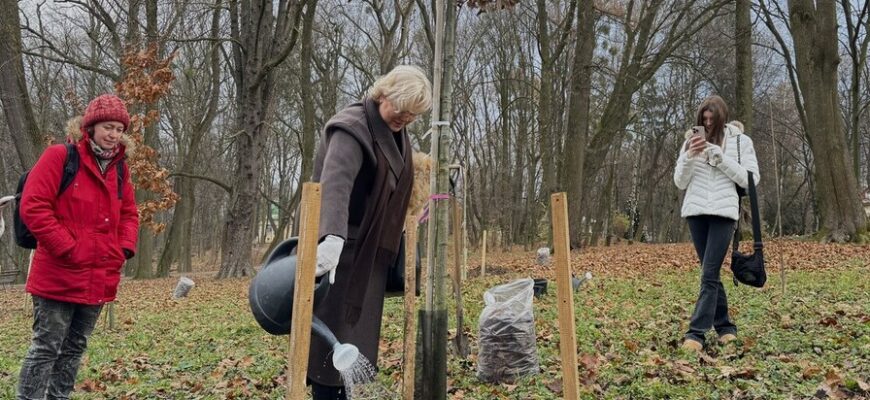 Подаруй дитині дерево": як сихівчанам доєднатися до акції • Сихів Медіа
